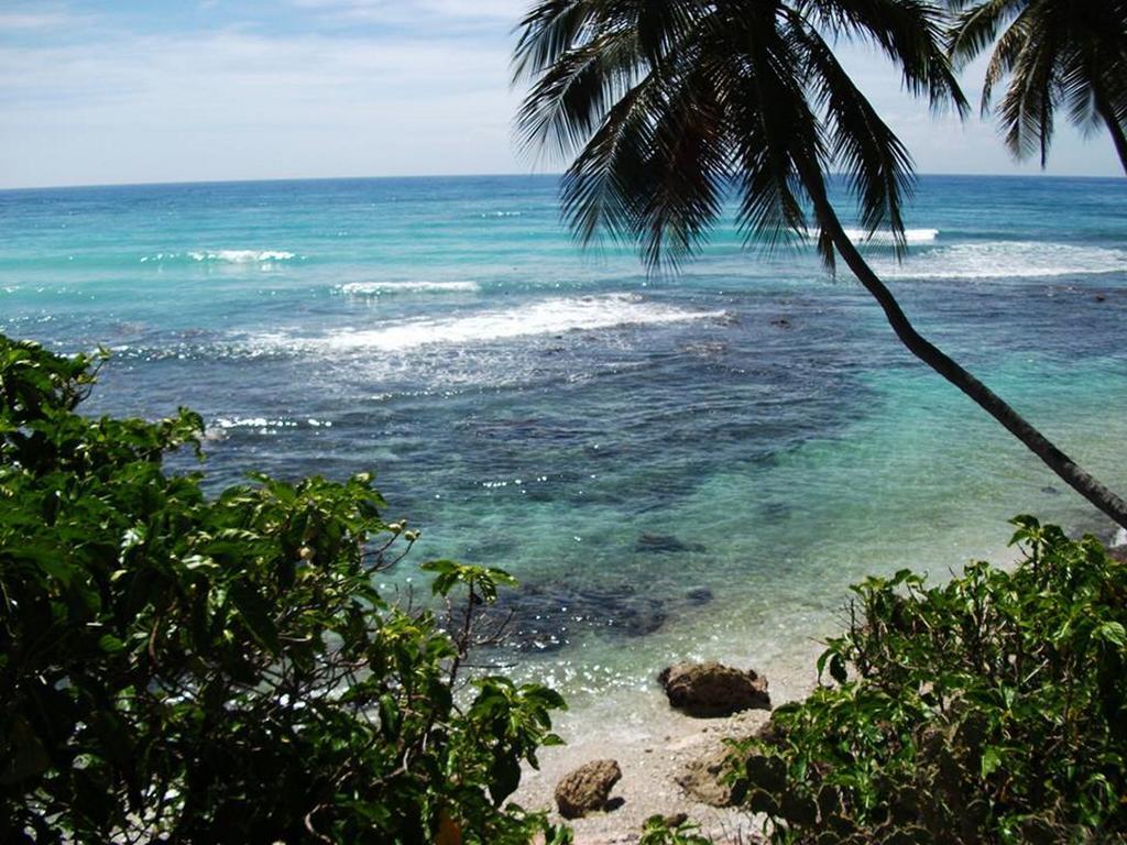 Hotel El Quemaito - Luxury Oceanfront Retreat Barahona Екстер'єр фото
